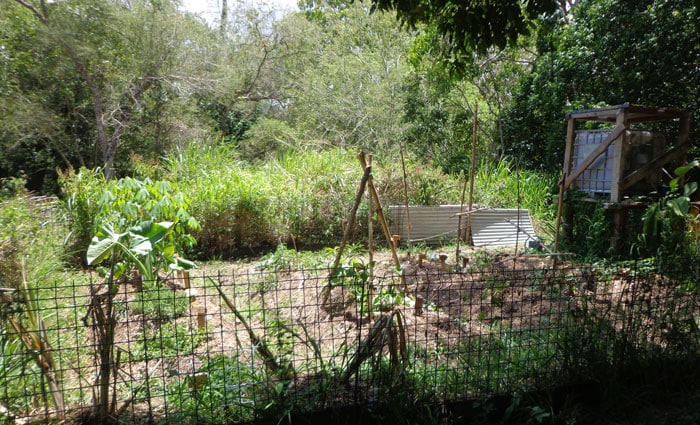 jardin-permaculturel-légumes-locaux-