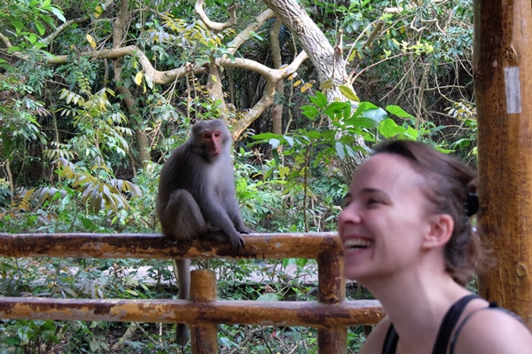 L'un des avantages du business en ligne : profiter d'une randonnée à Taïwan avec les singes.