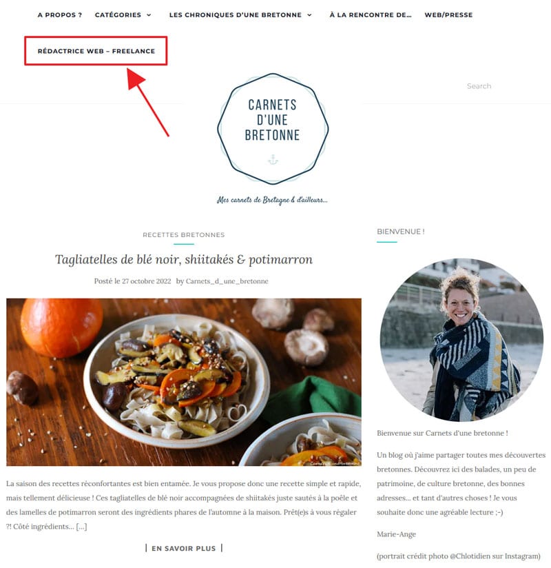 Copie d'écran de la page d'accueil du site carnet d'une bretonne en exemple de blog personnel non monétisé... mais avec un onglet freelance dans le menu.